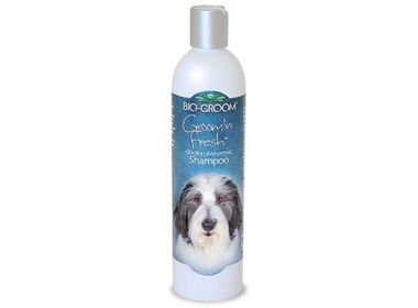 Bio-Groom Groom'n Fresh шампунь дезодорирующий для собак и кошек