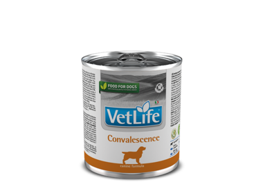 Farmina Vet Life Convalescence консервы для собак в период выздоровления