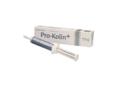 Pro-Kolin+ кормовая добавка для собак и кошек для снижения воспаления слизистой кишечника