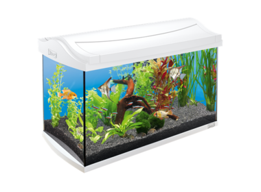 Tetra AquaArt Discover Line White Edition аквариумный комплекс для разведения аквариумных рыбок белый 60 л.