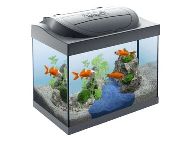 Tetra Starter Line LED Goldfish аквариум для золотых рыбок 30 л.