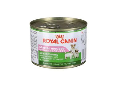Royal Canin Starter Mousse консервы для щенков до 2 месяцев и кормящих собак всех пород